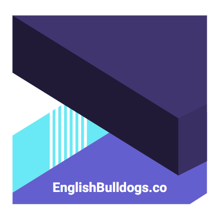 EnglishBulldogs.co