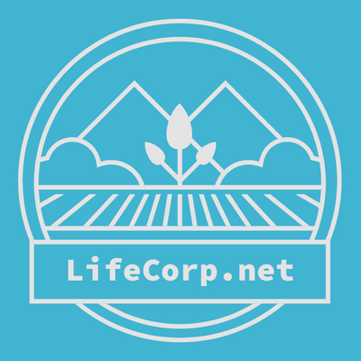 Just Sold: LifeCorp.net