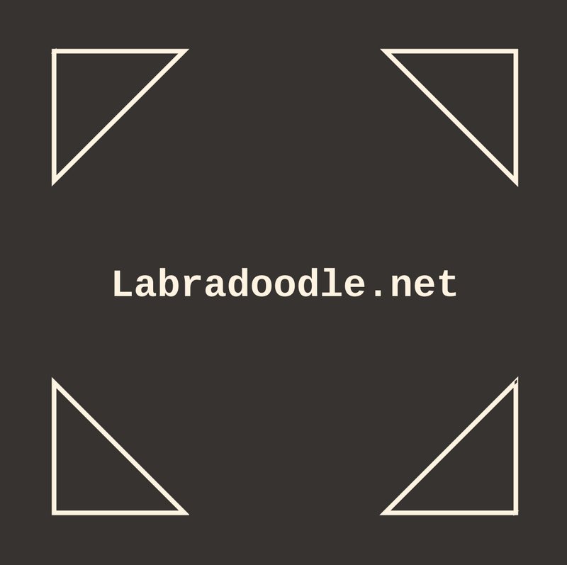 Labradoodle.net