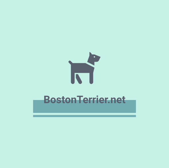 BostonTerrier.net is for sale - boston terrier website official