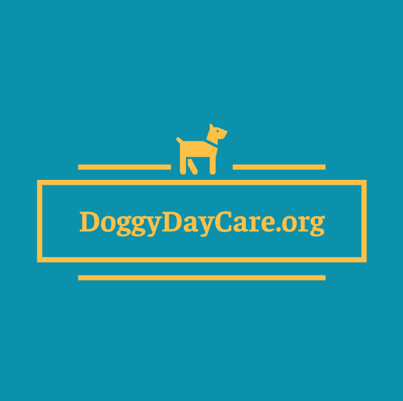 Doggy Day Care Website For Sale 