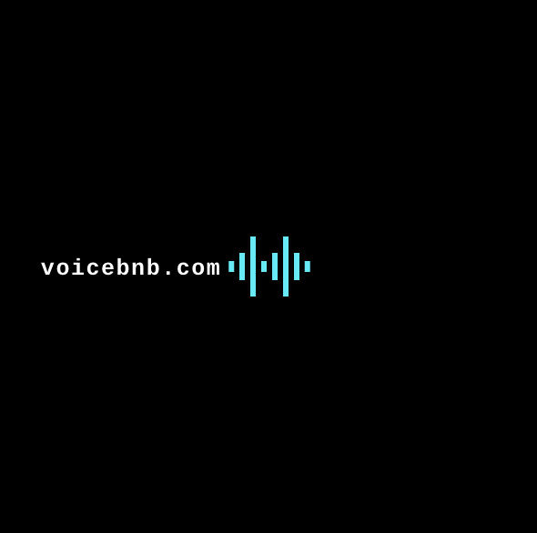voicebnb.com
